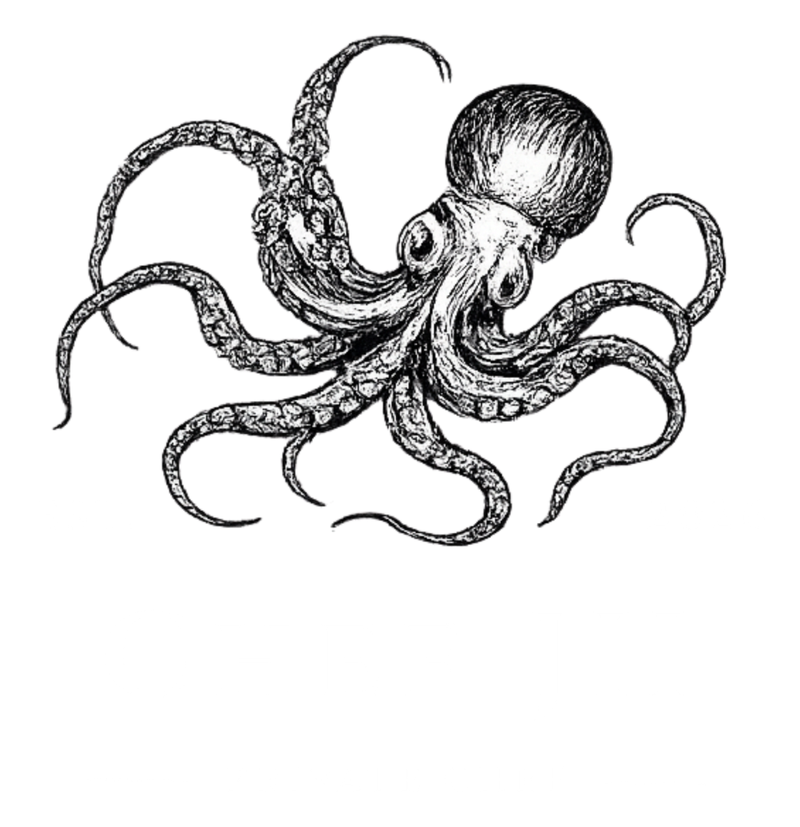Chef Jaden Hodgson