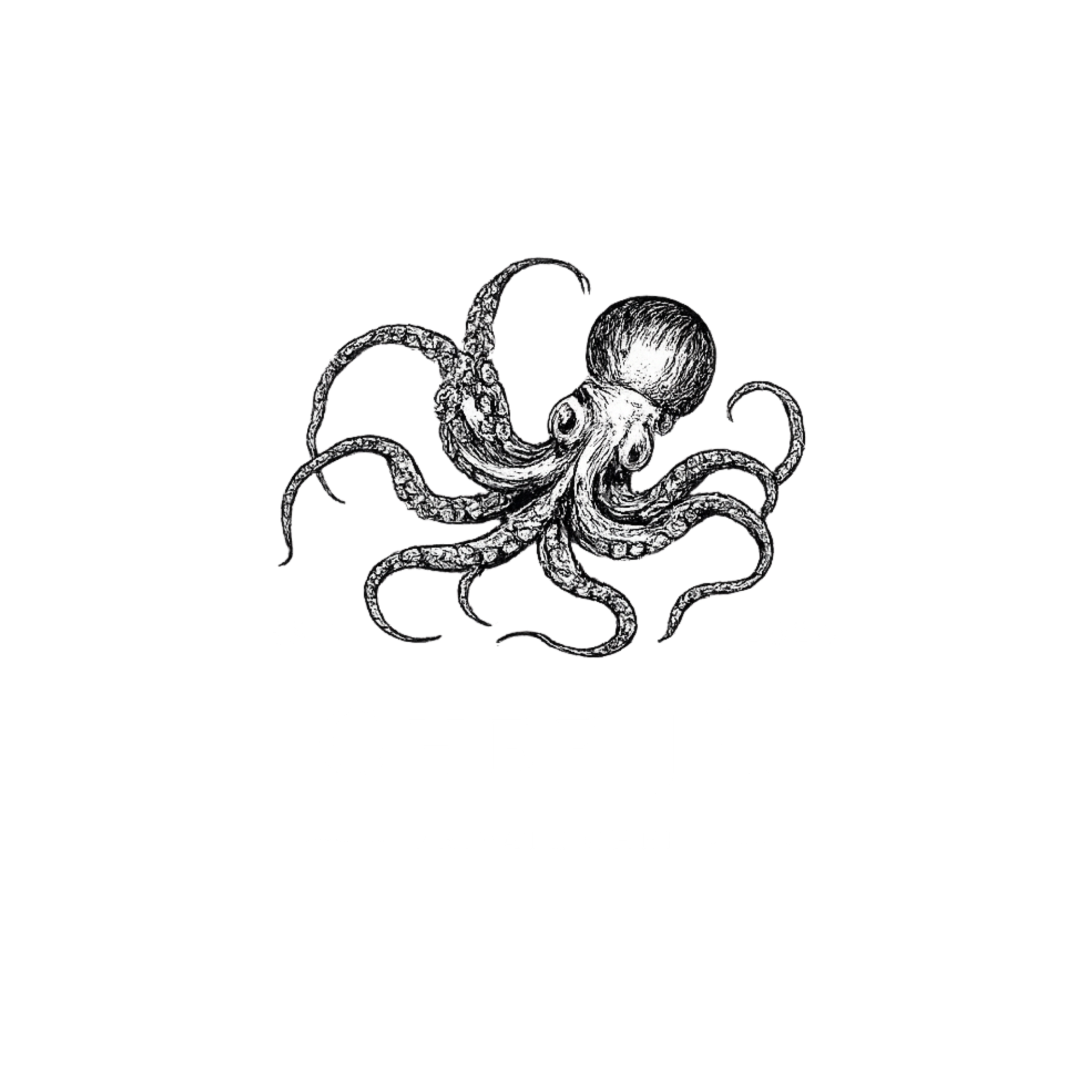 Chef Jaden Hodgson logo